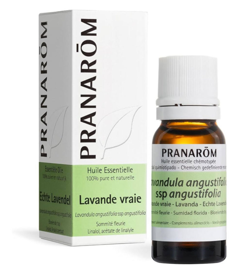 Lavandula